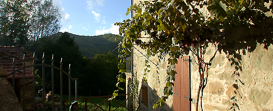 holiday rentals lucca area, Tuscany, Francesca Giovannini, turistipercasentino